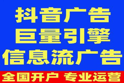 推广竞价策略优化：借鉴成功案例实现高效转化